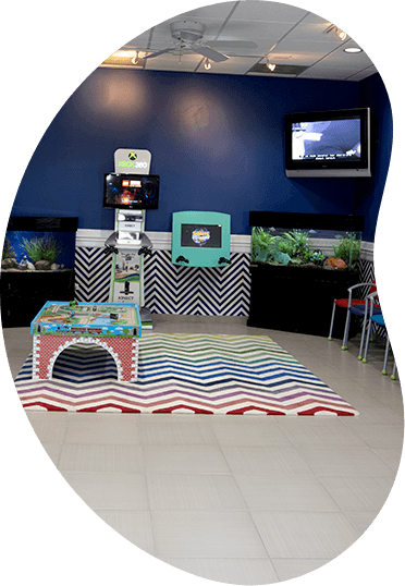 Kid friendly dental office waiting room