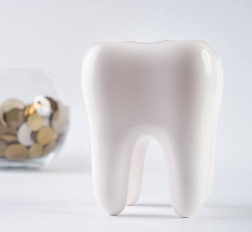 Model tooth and bowl filled with coins
