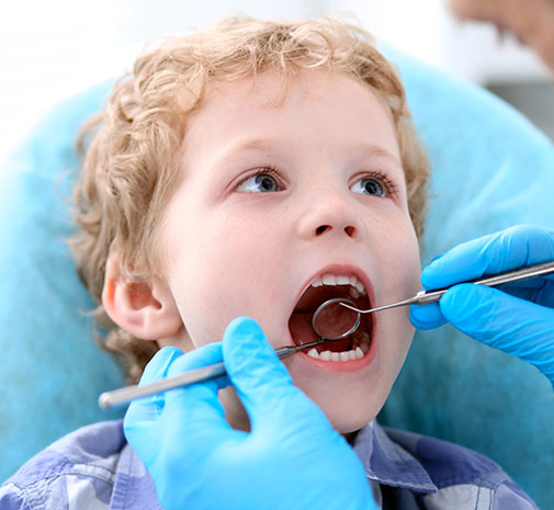 Dentist performing an orthodontic evaluation